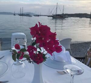 Artemis Restaurant Menu Menu For Artemis Restaurant Bodrum Merkez Bodrum